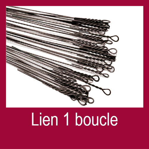 Fiche Technique Lien 1 boucle