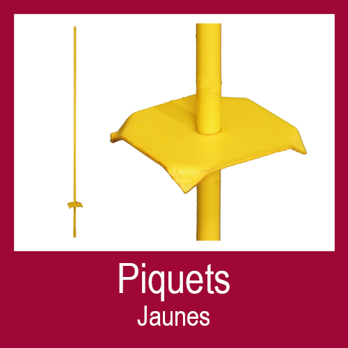 Fiche Technique Piquet Jaune