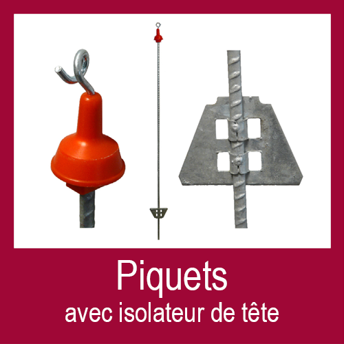 Fiche Technique Piquet avec isolateur de tête LEMPOID